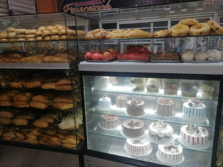 WhatsApp Image 2025 03 03 at 7.43.47 AM sistemas cdorada 768x576