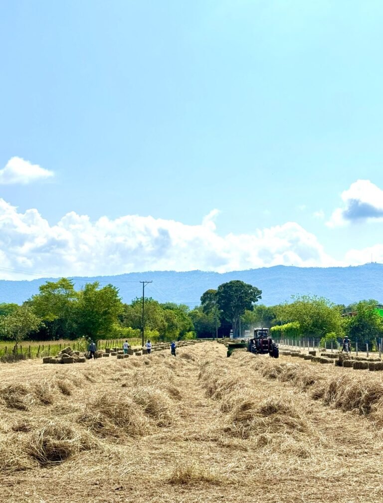 WhatsApp Image 2025 03 10 at 12.50.17 PM 1 Capcutpro3cca 768x1009