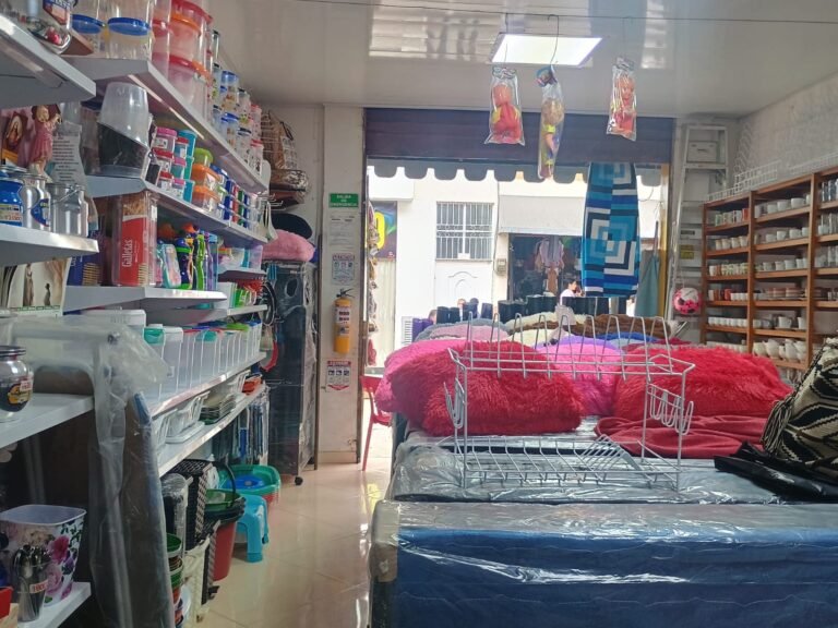 WhatsApp Image 2025 03 11 at 8.27.37 AM 4 sandra marcela atehortua valencia 768x576