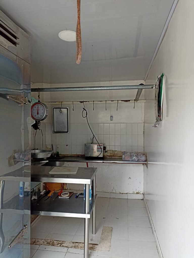 CARNICERIA 2 Fernanda Lorena Betancur Arias 768x1023