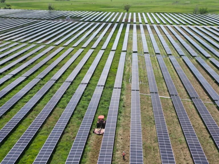 IMG 20240214 WA0003 sistemas cdorada 768x576