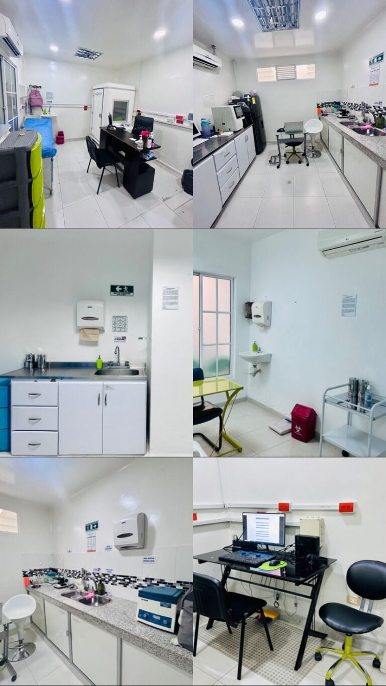 IMG 20240221 WA0006 sistemas cdorada 768x1365