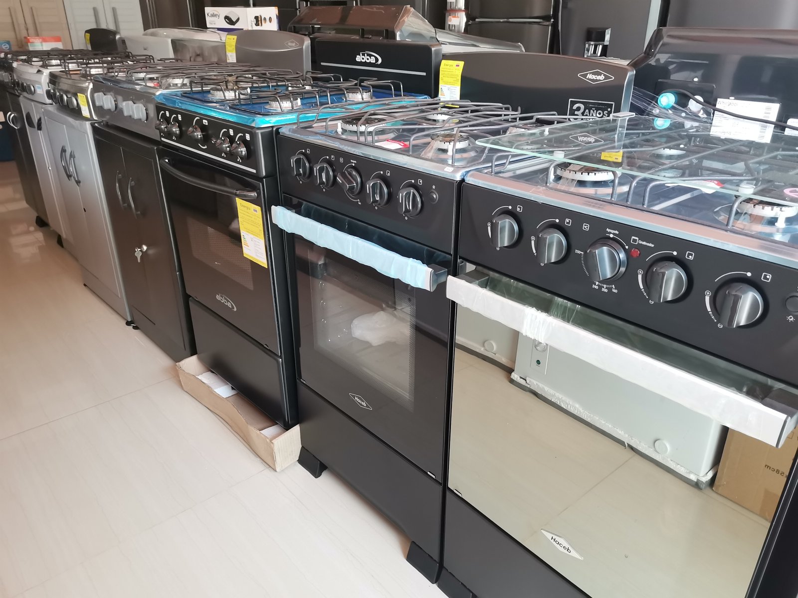 IMG 20240925 144912 Diego Alejandro Veloza Gonzales