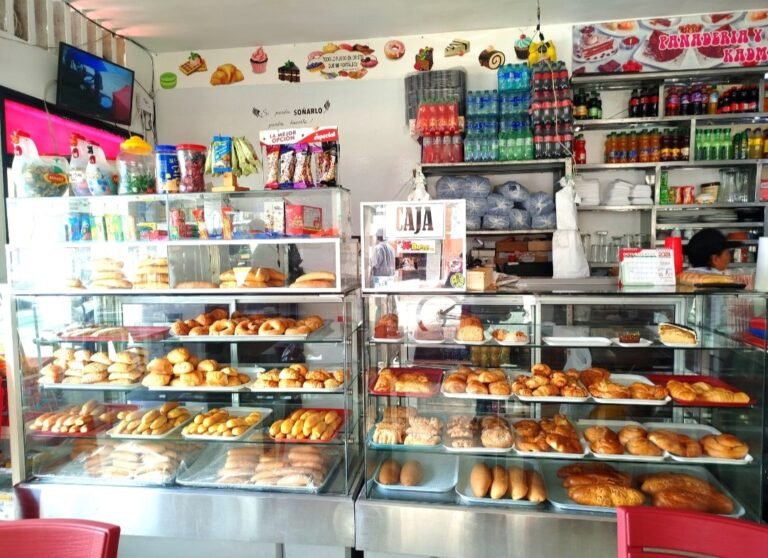 IMG 20241008 083418 Jennifer Rincon 768x558