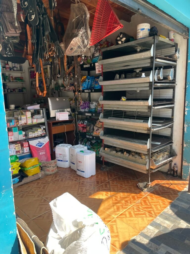 Imagen de WhatsApp 2024 08 28 a las 14.14.22 205bd7d4 Elisa Cifuentes Villalobos 768x1024