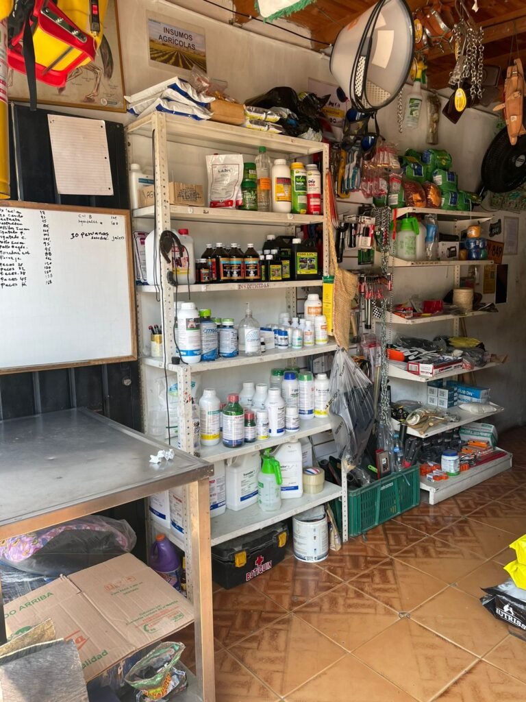 Imagen de WhatsApp 2024 08 28 a las 14.14.22 56149167 Elisa Cifuentes Villalobos 768x1024