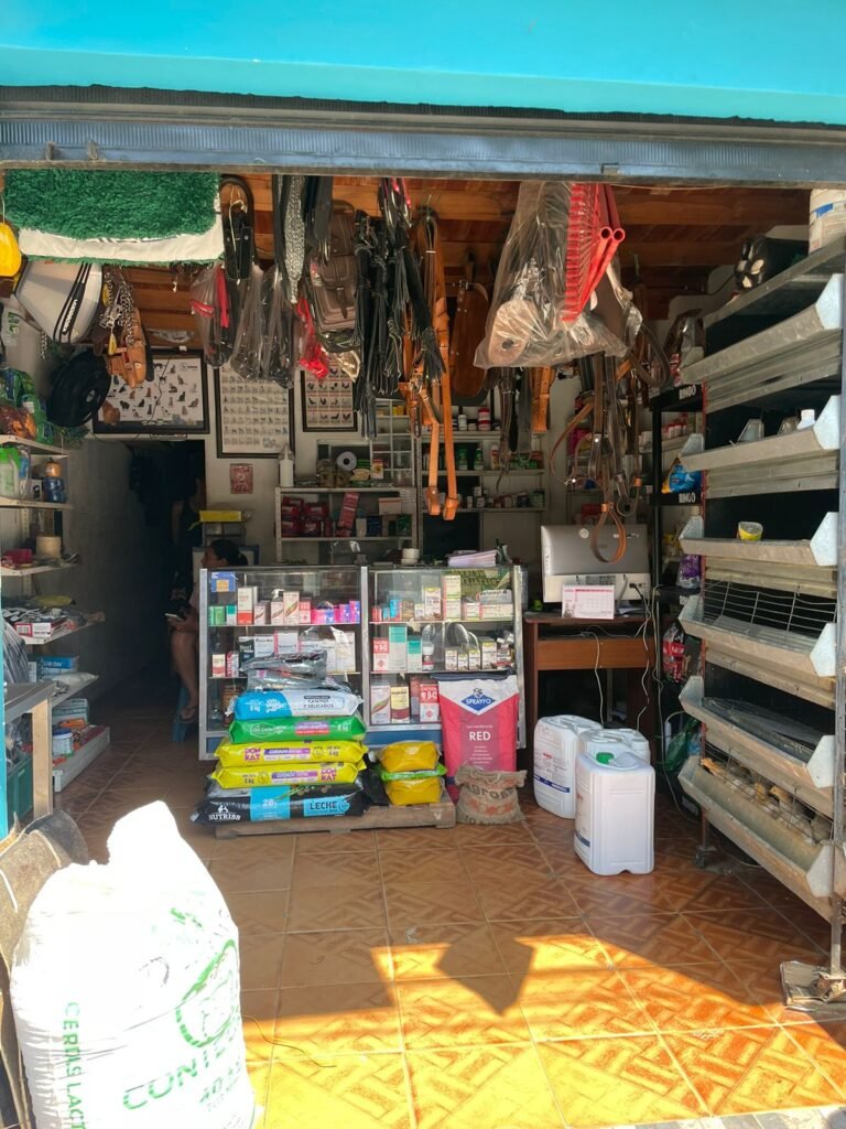 Imagen de WhatsApp 2024 08 28 a las 14.14.22 c43f64f9 Elisa Cifuentes Villalobos 768x1024