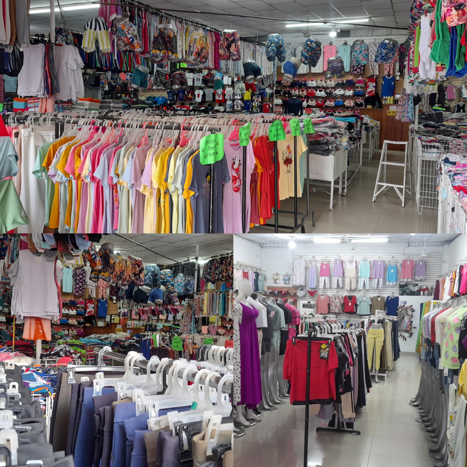 InShot 20240528 092855357 Aleja Cortez