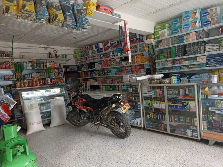 REINALDO 2 Fernanda Lorena Betancur Arias 1 768x576