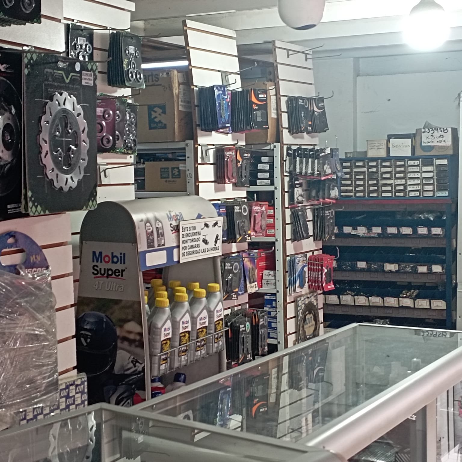 WhatsApp Image 2024 09 19 at 2.26.18 PM 1 Florys Santamaria Gonzalez