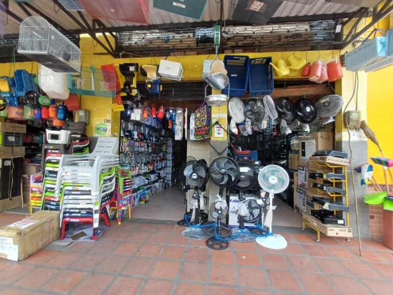 WhatsApp Image 2024 10 02 at 2.09.10 PM Elisa Cifuentes Villalobos 768x576