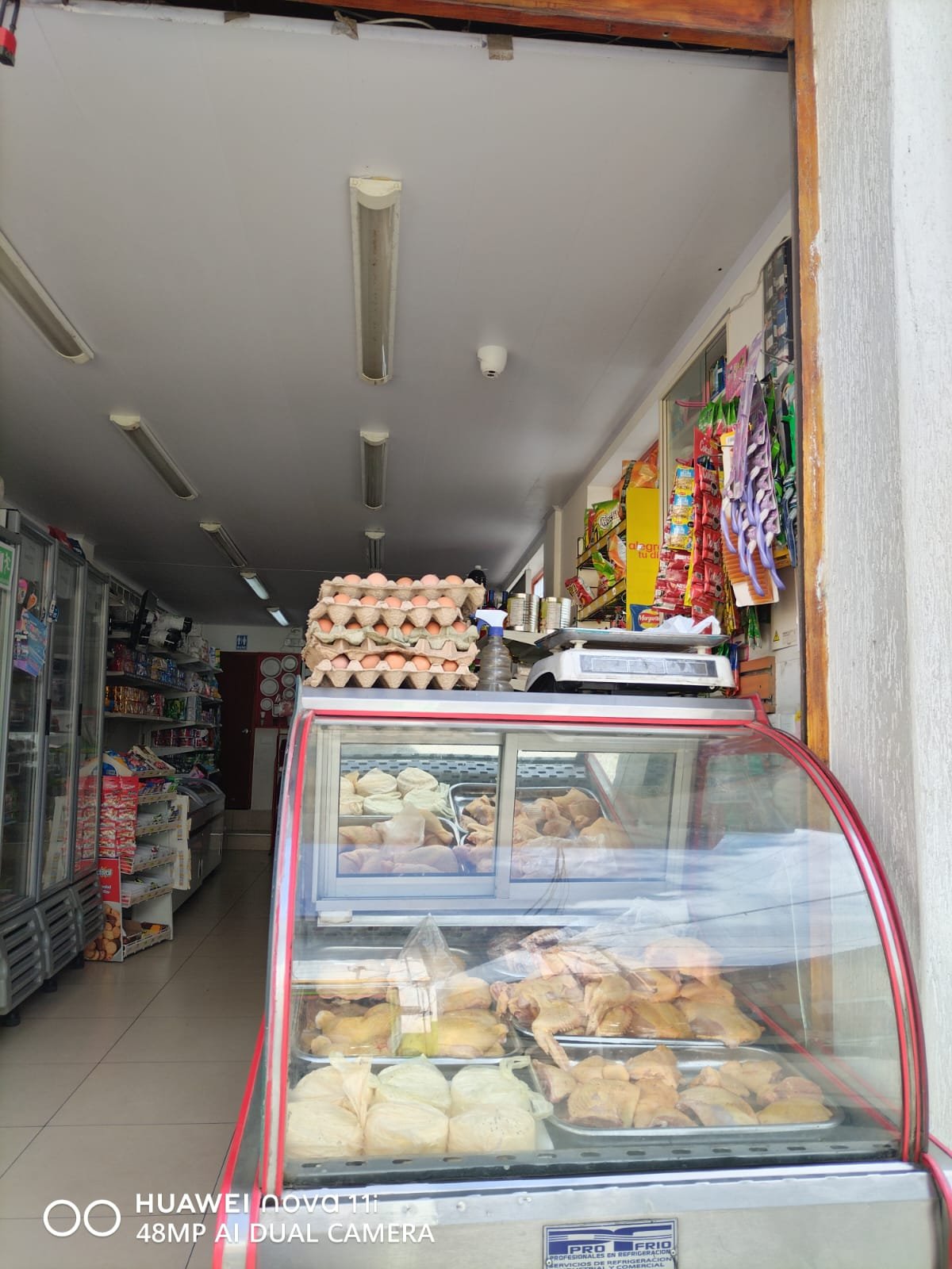 lisban 2 Fernanda Lorena Betancur Arias 1