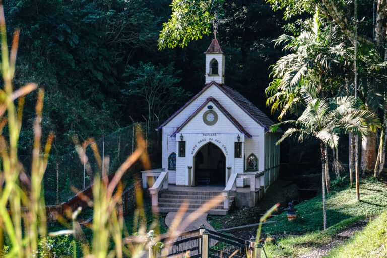 DSC02224 1 Florys Santamaria Gonzalez 768x512