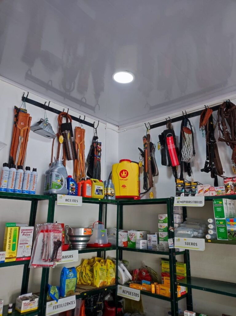 IMG 20240311 WA0014 sistemas cdorada 768x1027