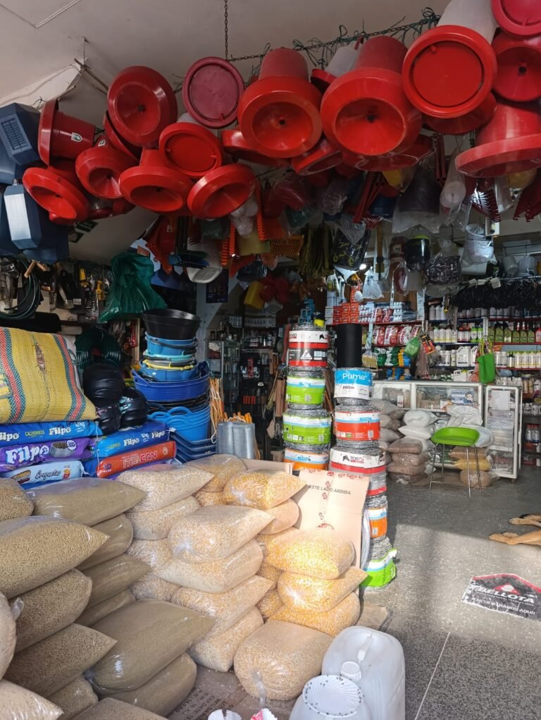 IMG 20240830 WA0002 PAC Samana 768x1021