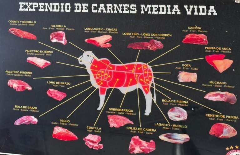 IMG 20240905 WA0002 Jennifer Rincon 768x496