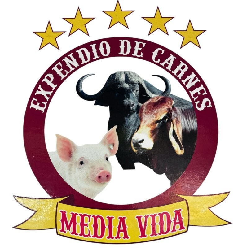 IMG 20240905 WA0003 Jennifer Rincon 768x801