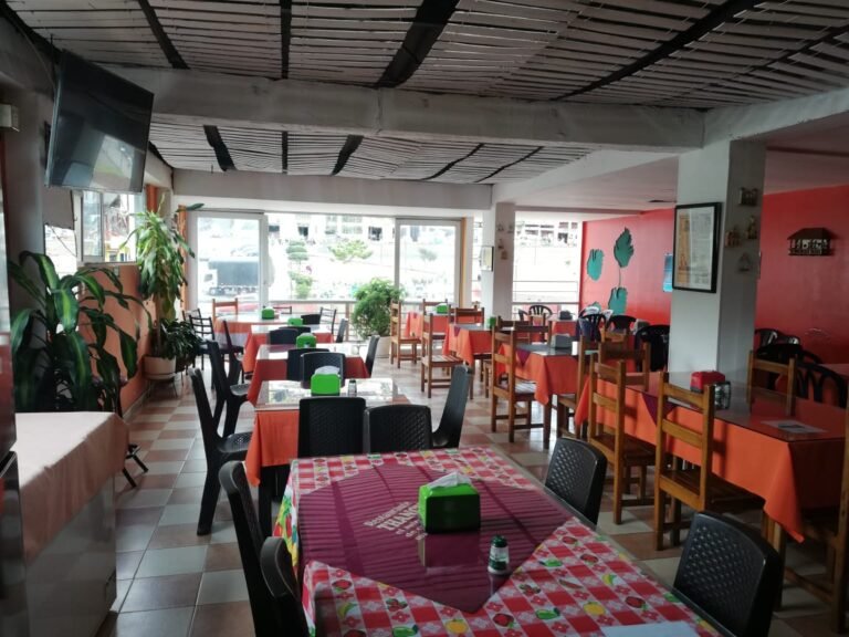 IMG 20241029 WA0001 victoria eugenia Castano 768x576