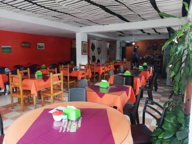 IMG 20241029 WA0002 victoria eugenia Castano 768x576