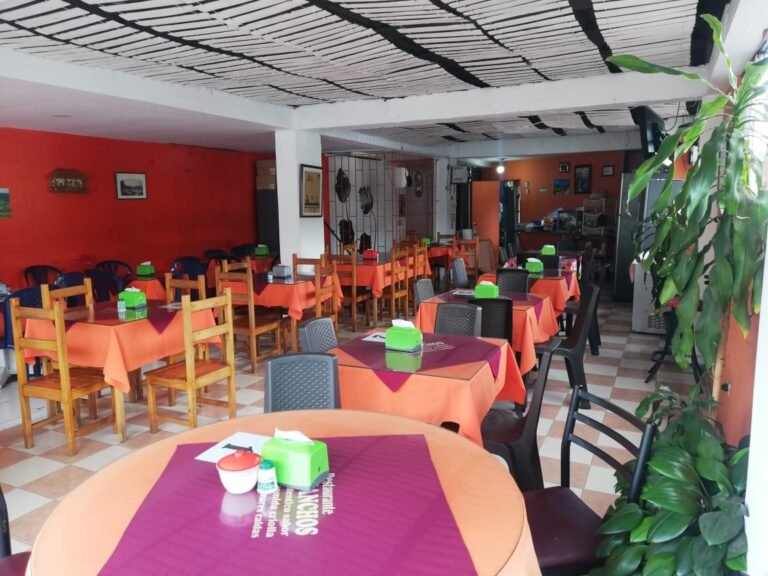 IMG 20241029 WA0003 victoria eugenia Castano 768x576