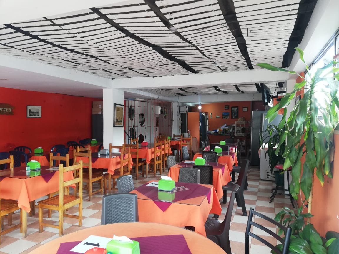 IMG 20241029 WA0005 victoria eugenia Castano 1