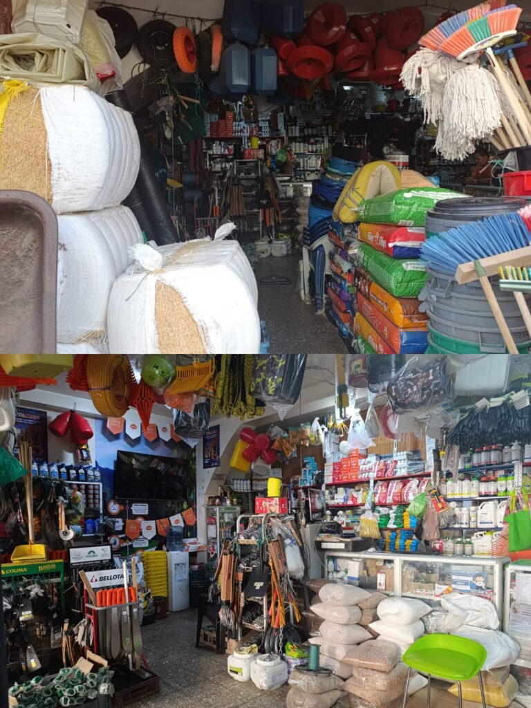 IMG 20240830 080012 PAC Samana 768x1024