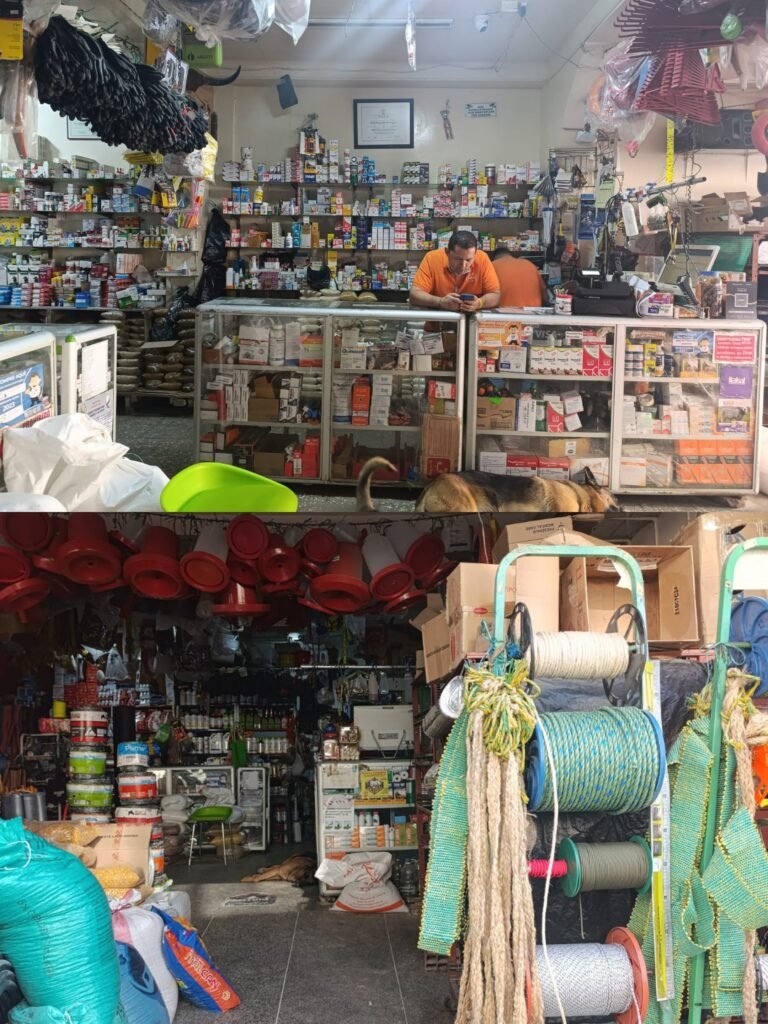 IMG 20240830 080155 PAC Samana 768x1024