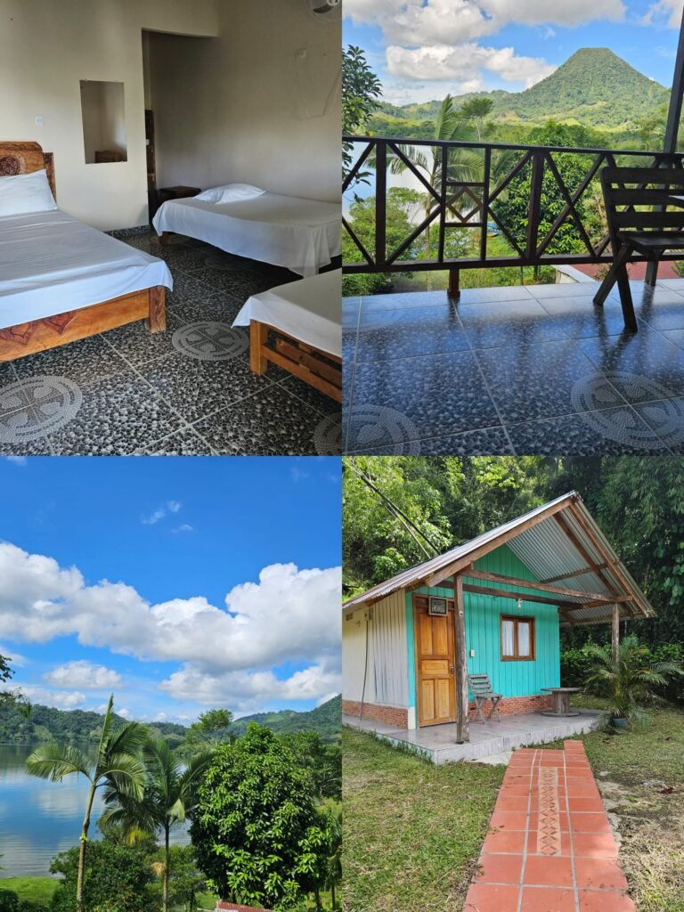 IMG 20241108 174724 PAC Samana 768x1024