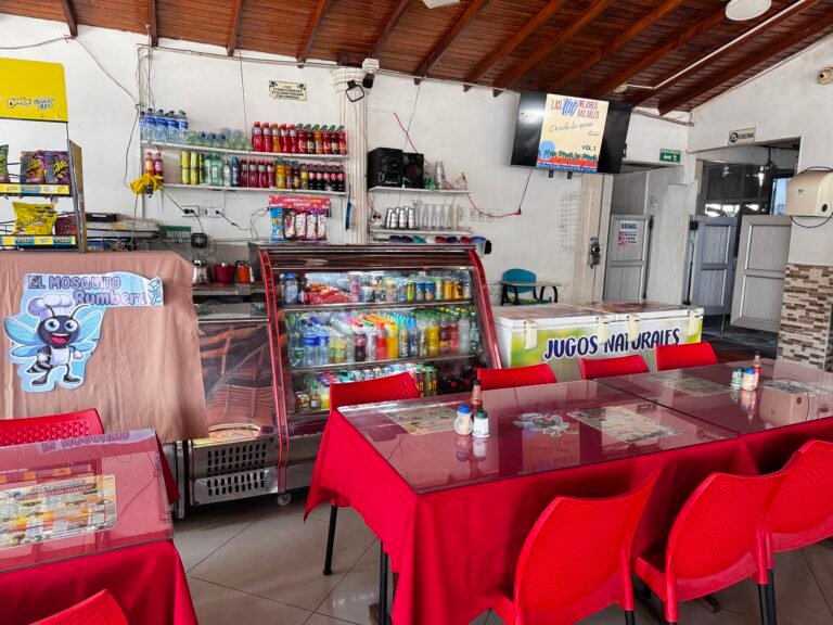 IMG 2466 Sol Vallejo 768x576