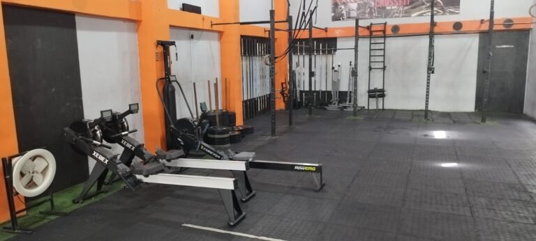 WhatsApp Image 2024 05 21 at 1.21.09 PM 2 Abelardo Ramos 768x346