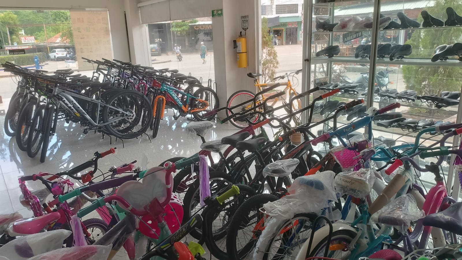 WhatsApp Image 2024 10 02 at 12.12.53 PM 1 Abelardo Ramos