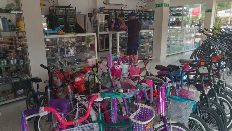 WhatsApp Image 2024 10 02 at 12.12.53 PM 2 Abelardo Ramos 768x433