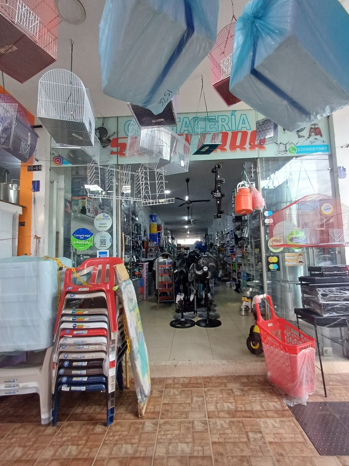 WhatsApp Image 2024 10 02 at 2.09.21 PM Elisa Cifuentes Villalobos