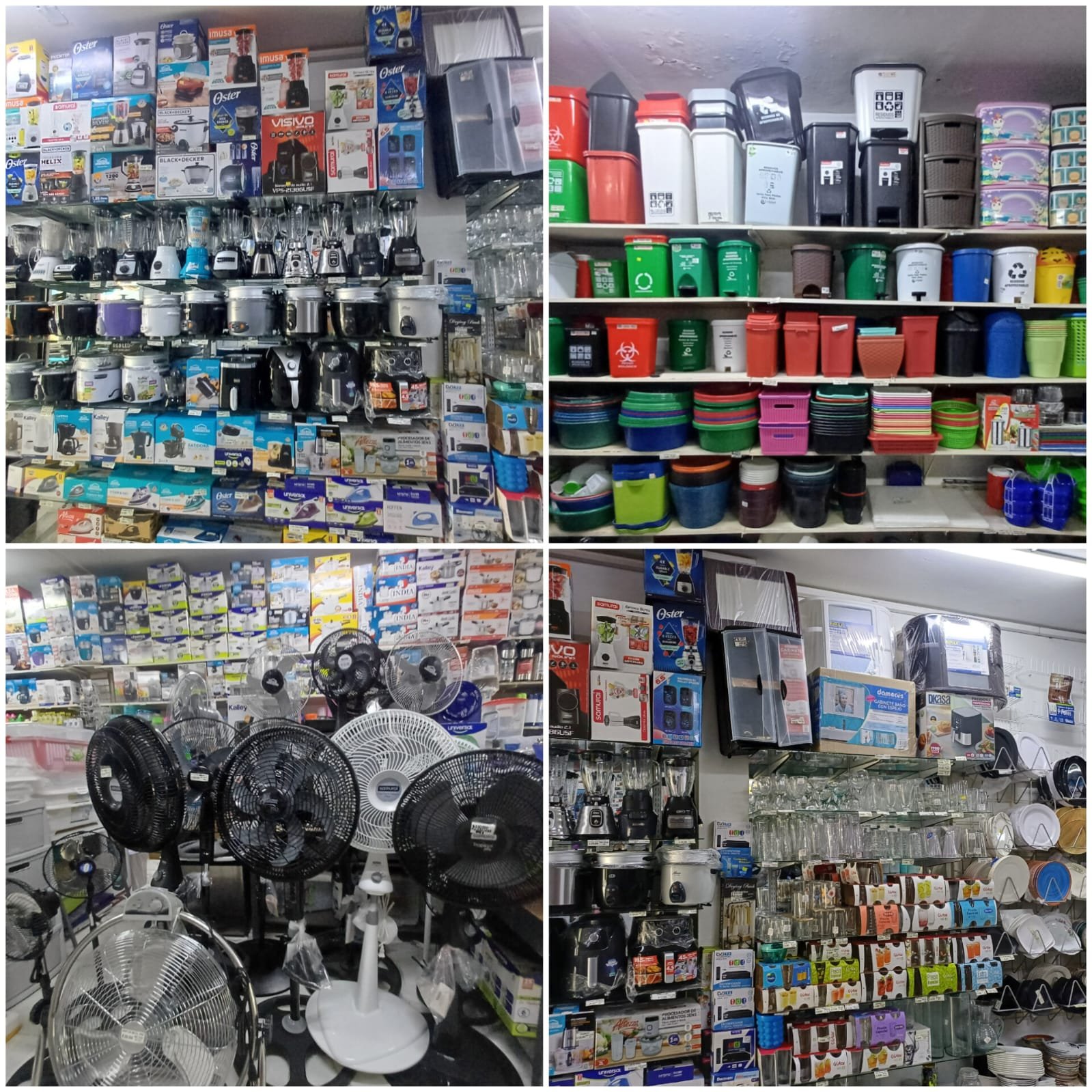 WhatsApp Image 2024 10 02 at 3.01.19 PM Elisa Cifuentes Villalobos