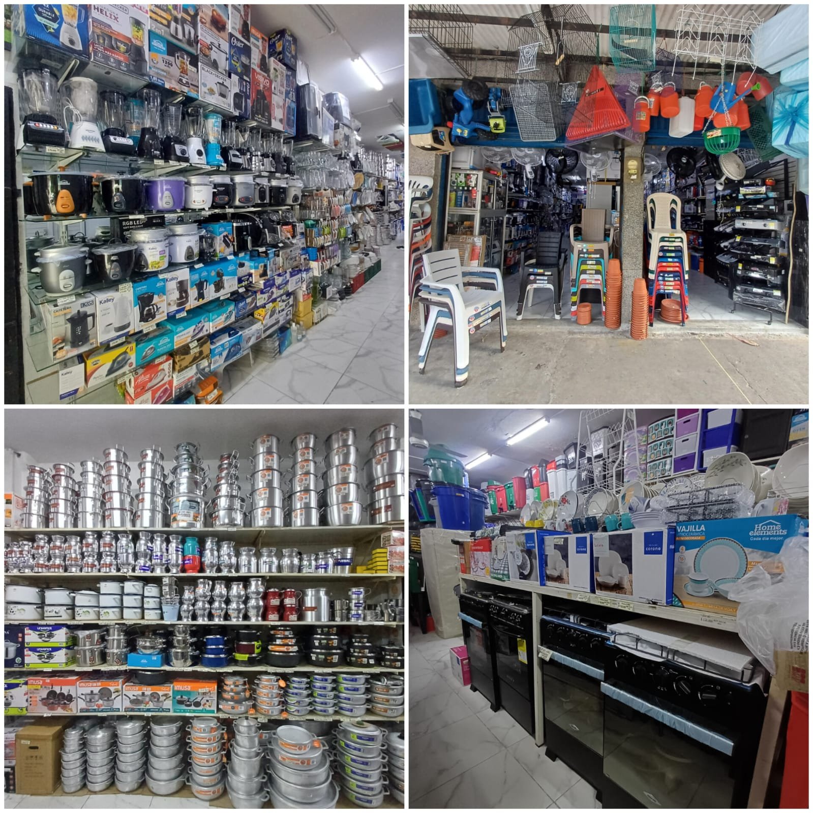 WhatsApp Image 2024 10 02 at 3.03.53 PM Elisa Cifuentes Villalobos