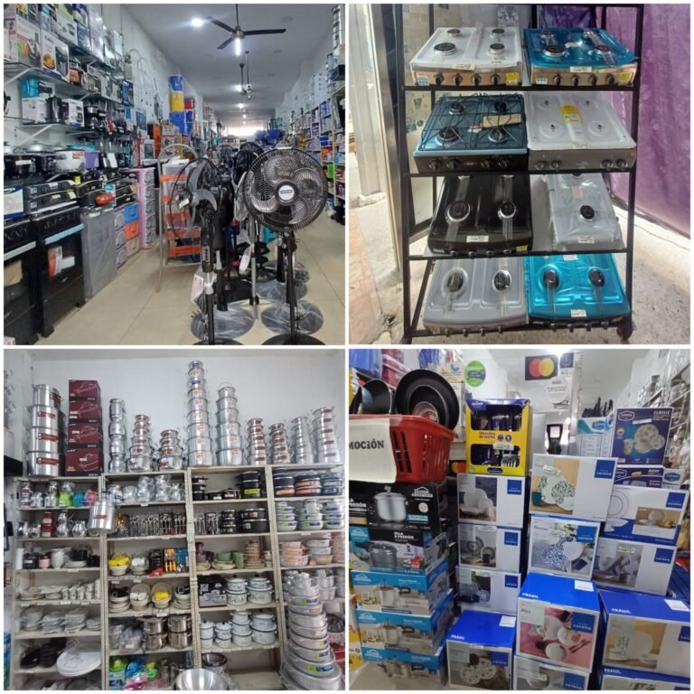 WhatsApp Image 2024 10 02 at 5.52.27 PM Elisa Cifuentes Villalobos 768x768