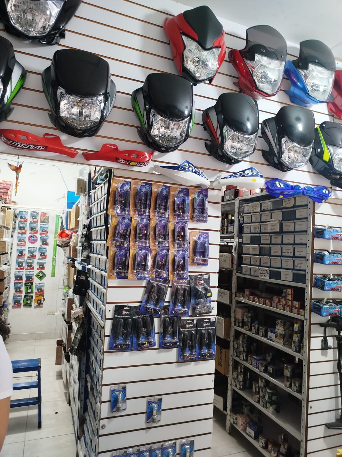 WhatsApp Image 2024 11 08 at 5.55.42 PM 2 Carmen Milena Avila