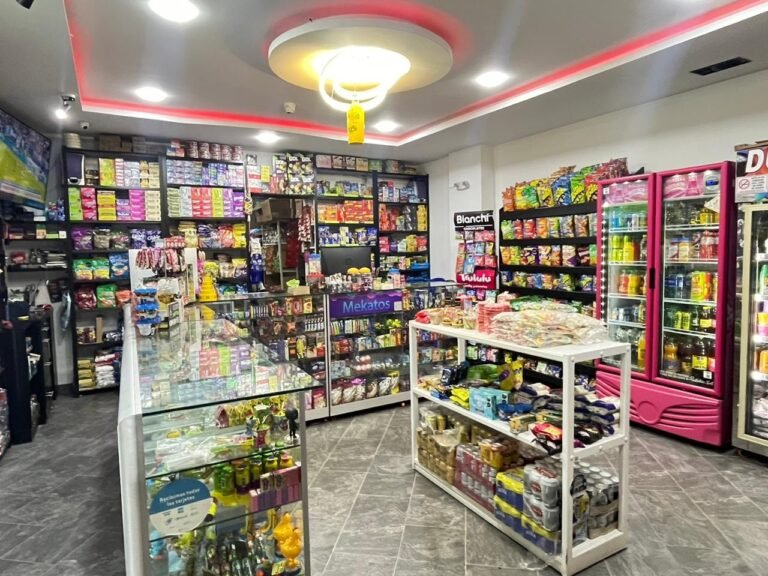 mekatos 3 Fernanda Lorena Betancur Arias 768x576