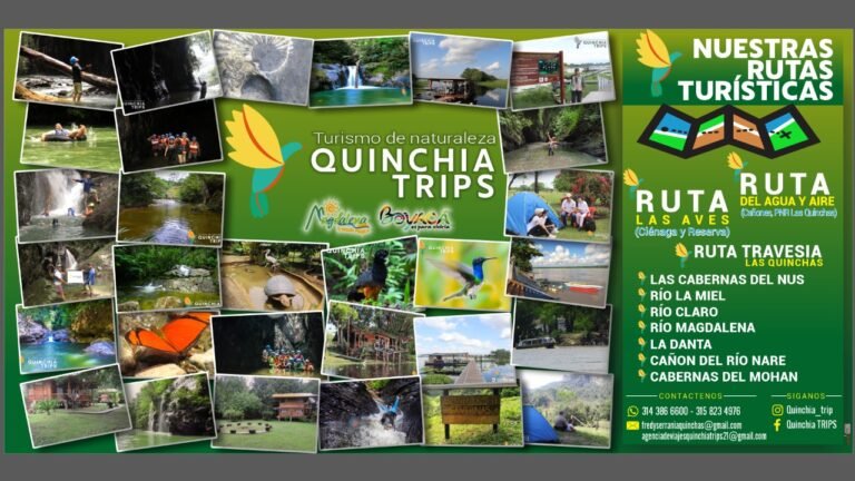 peldon fredy galeano gonzalez 768x432