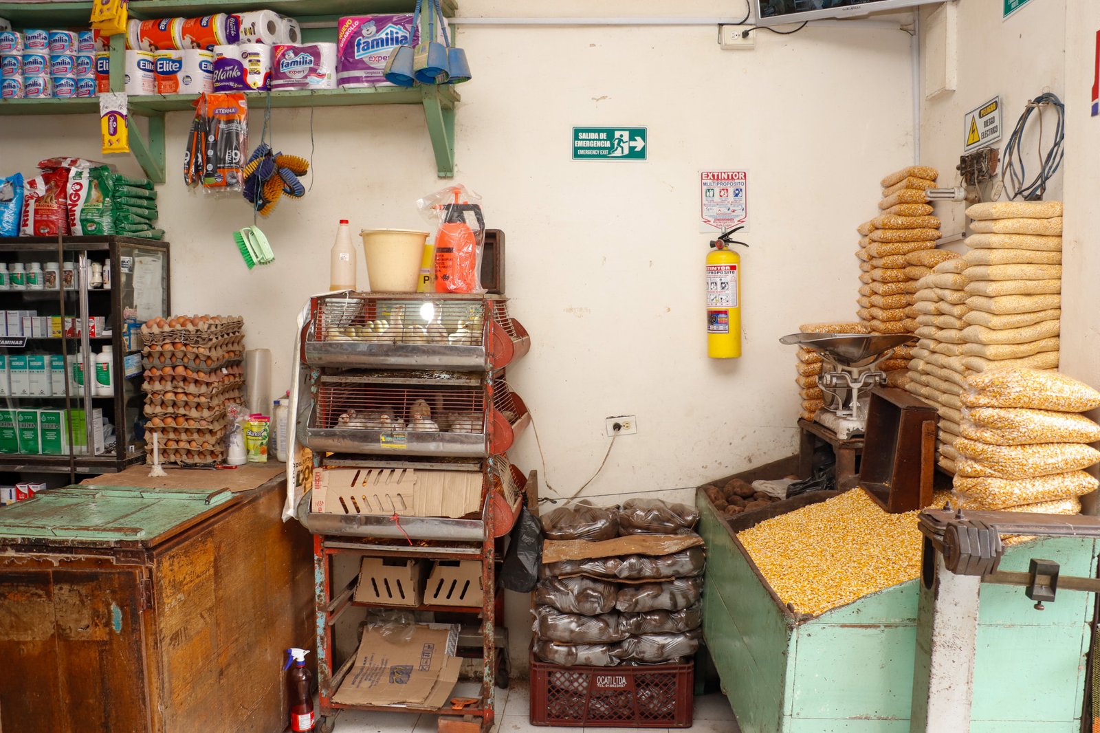 ALMACEN VETERINARIO PACHO BERNAL 3 2 sandra marcela atehortua valencia