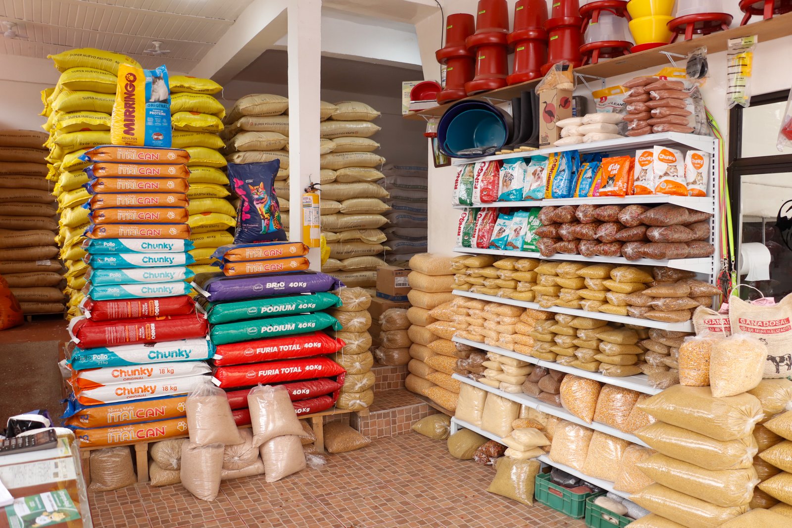 TODO CAMPO FOTO 2 Fernanda Lorena Betancur Arias