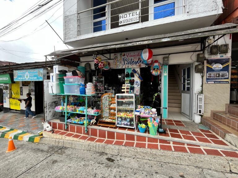 VARIEDADES SALOME 1 Afiliados 768x576