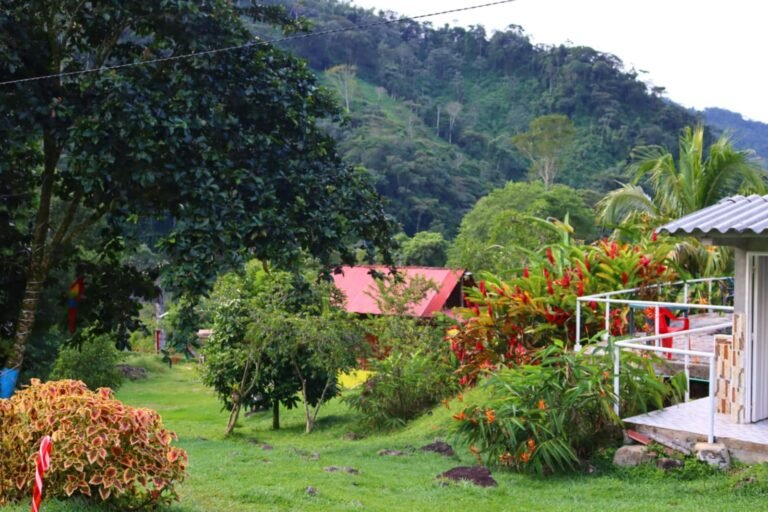 VILLA DUQUE FOTO 3 Fernanda Lorena Betancur Arias 768x512