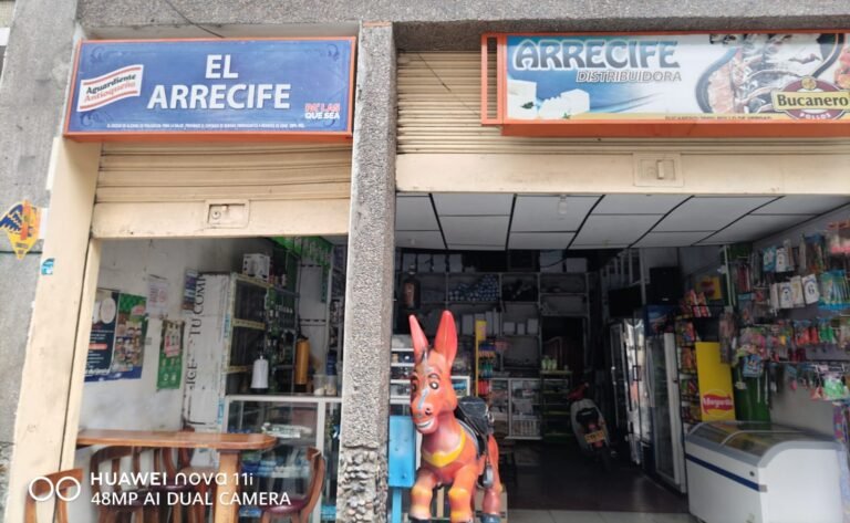 ARRECIFE 1 Fernanda Lorena Betancur Arias 768x473