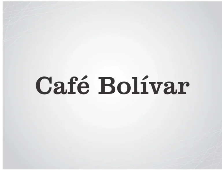 Captura de pantalla 2025 04 10 205224 768x589