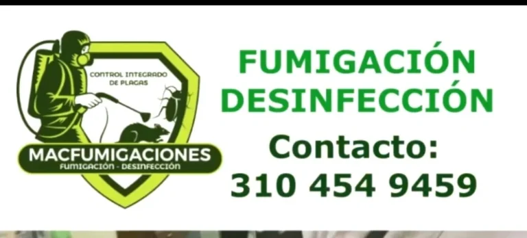 WhatsApp Image 2024 07 18 at 10.28.16 AM Afiliados 768x348