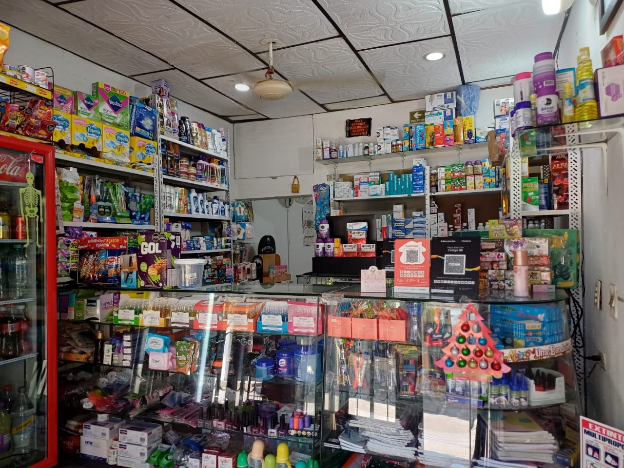 WhatsApp Image 2025 01 07 at 11.26.26 AM 2 Abelardo Ramos