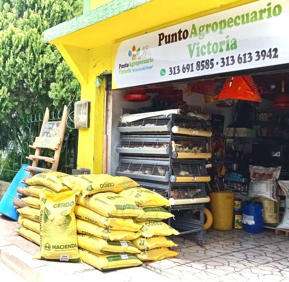 WhatsApp Image 2025 01 23 at 4.33.53 PM Afiliados