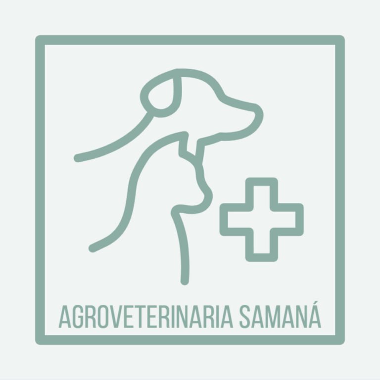 image 4 sandra marcela atehortua valencia 768x768