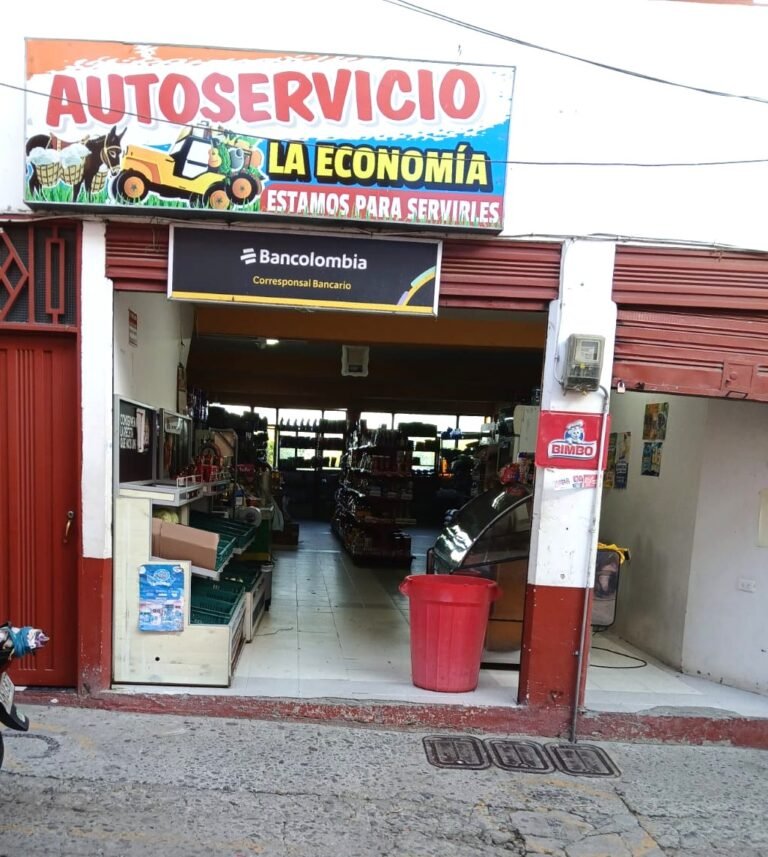 la economia 1 Fernanda Lorena Betancur Arias 768x857